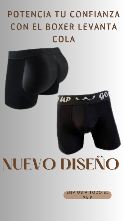 Boxer levanta cola para hombre