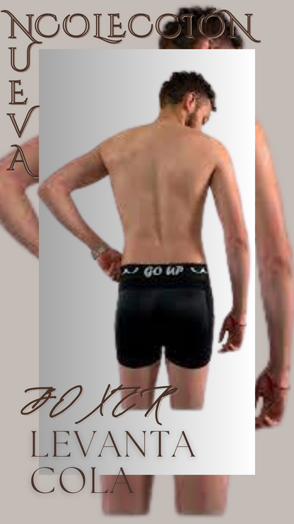 Boxer levanta cola para hombre