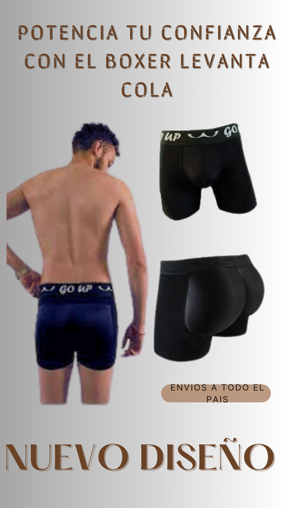 Boxer levanta cola para hombre